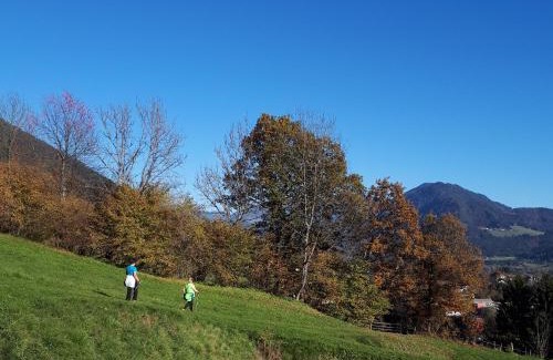 Berg im Drautal Apartment | Ferienwohnung DrauSport