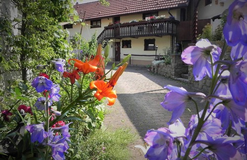 Eussenheim Apartment | Ferienwohnung für 3 Personen in ruhiger Lage mit Brötchenservice