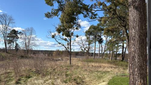 Oberhavel Apartment | Ferienwohnung Fürstenberg - Storch