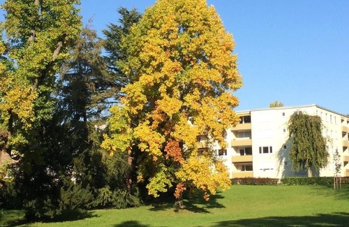 Aschach Apartment | Ferienwohnung Giebelbach