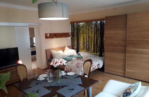 Teisendorf Apartment | Ferienwohnung historisches Teisendorf