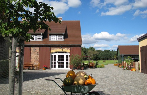 Klitten Apartment | Ferienwohnung Laubfrosch - Ferienhof Erlengrund