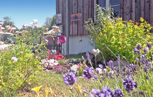 Neppermin Apartment | Ferienwohnung Nepperminusedom