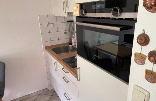 Bad Hindelang Apartment | Ferienwohnung Niklas inklusive Bad Hindelang Plus