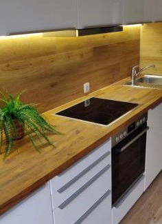 Gmain Apartment | Ferienwohnung Predigtstuhlblick