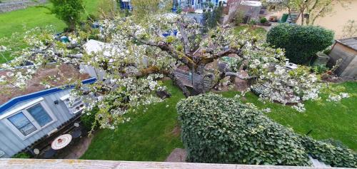 Rettersheim Apartment | Ferienwohnung Rettersheim Mainspessart