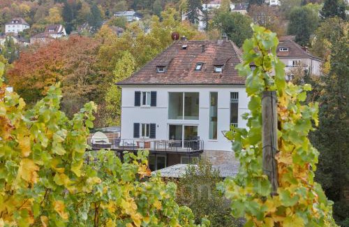 Wuerzburg Apartment | Ferienwohnung stadtnah im DG
