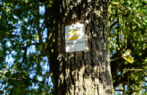 Munstermaifeld Apartment | Ferienwohnung zum Küppchen