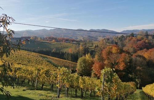 Glanz an der Weinstrasse Apartment | Ferienwohnungen Kumpitsch am Poharnigberg - Eorykogel