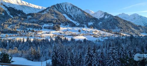 Riezlern Apartment | Ferienwohung Blick auf Kleinwalsertal