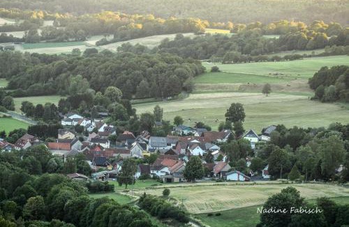 Schotten Apartment | Ferienwohung mit Blick auf die Pferdekoppel