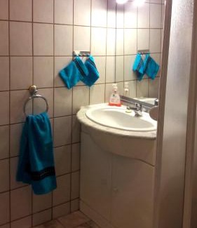 Schotten Apartment | Ferienwohung mit Blick auf die Pferdekoppel