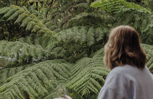 Wye River House | Fern House - bush by beach @ wye river