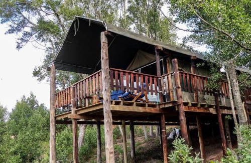 Knysna Other | Fernhill Tented Treehouses