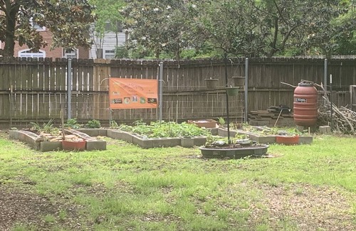 Freetown - Port Rico House | Festival favorite - Cozy cottage with 5 min walk to all the action