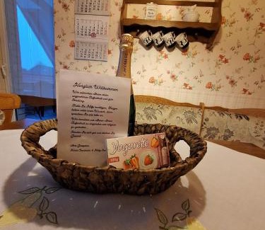 Diepholz Apartment | FEWO Dümmer-Diepholz