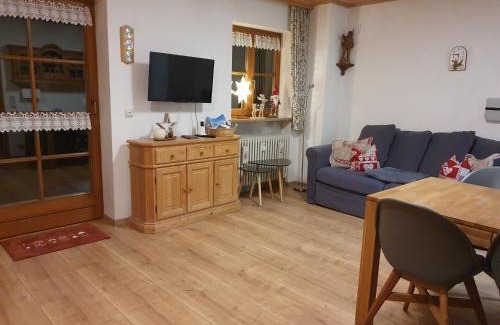 Obermaiselstein Apartment | Fewo Haiber 1Zimmer Appartement