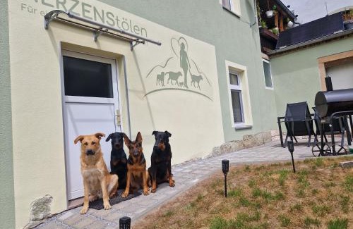 Sebnitz Apartment | FeWo Herzenstölen