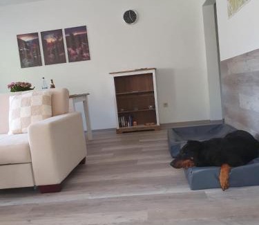 Sebnitz Apartment | FeWo Herzenstölen