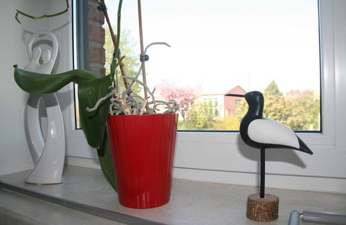 Bastorf Apartment | Fewo Leuchtturmblick Bastorf near Kühlungsborn - 2-room vacation apartment (40m², max