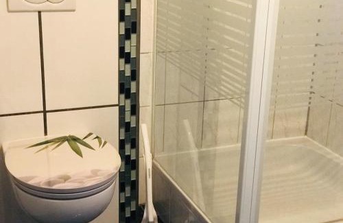Bad Krozingen Apartment | fewo-wosink