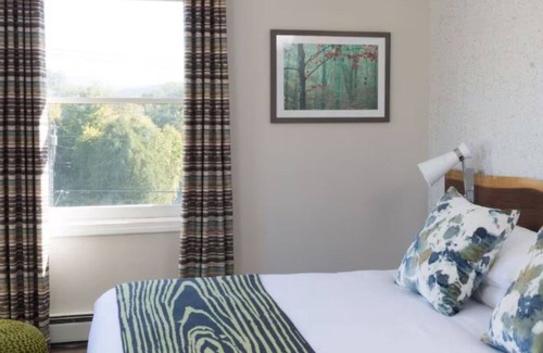 Stowe Area Hotel | Field Guide Lodge | Modern Escape Close to Slopes, Hikes & Dining