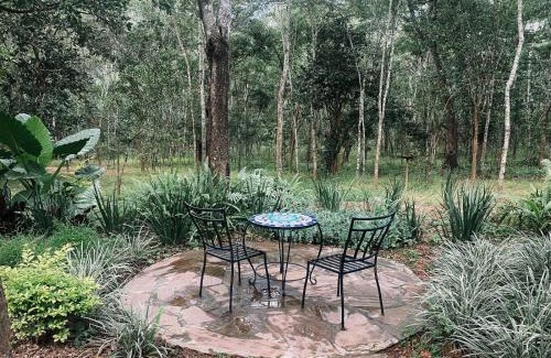 Central Cabin | Fika Lodge