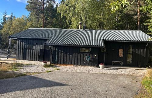 Kviteseid House | Fin familiehytte i Vrådal hyttegrend med mange aktiviteter!