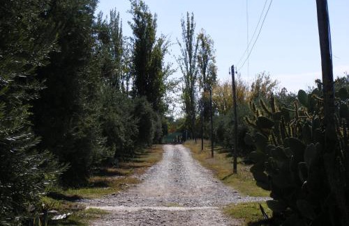 Maipu House | Finca Bravi