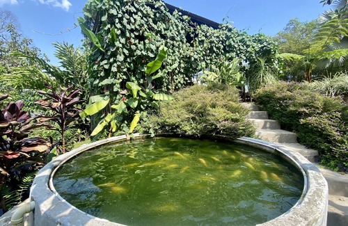 Fredonia House | Finca El Jardín Secreto en Fredonia Antioquia
