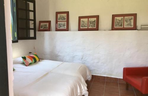 Telde House | Finca Hoya del Pozo