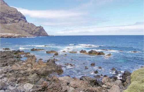 Buenavista del Norte Apartment | Finca La Cancela