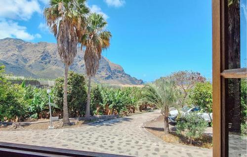 Buenavista del Norte Apartment | Finca La Cancela