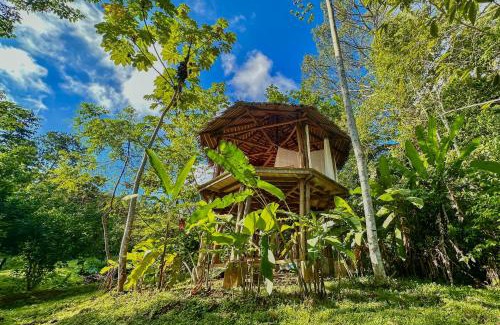Puerto Jimenez Other | Finca Terra Incognita - Wood cabins in the jungle