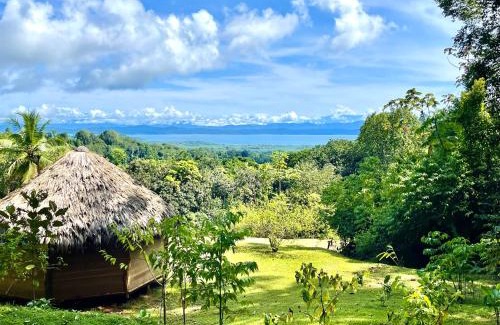Puerto Jimenez Other | Finca Terra Incognita - Wood cabins in the jungle
