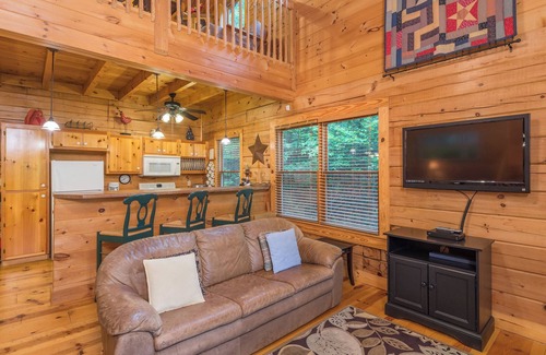 Black Mountain Cabin | Firefly Lodge | Private Log Cabin with Gas Grill & Mountain Views!