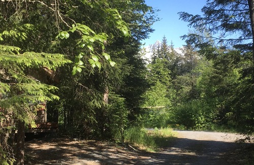 Bear Creek Cabin | FireWeed Cabin5 W/Queen Bed