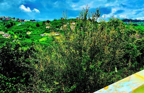 Arsin Apartment | Five Stars Apart Bungalov