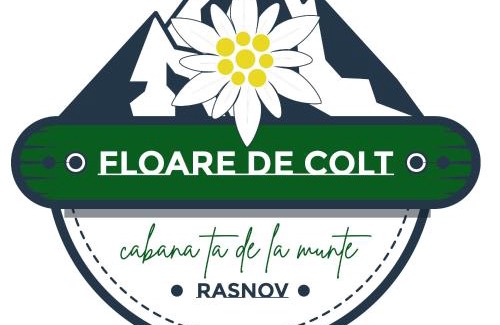 Rasnov Cabin | FLOARE DE COLT