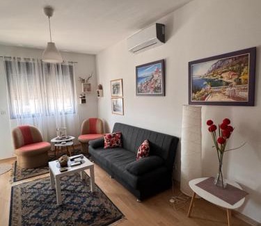 Podgorica Apartment | Flower and Love Flat Next to centar of podgorica