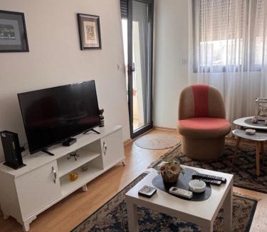 Podgorica Apartment | Flower and Love Flat Next to centar of podgorica
