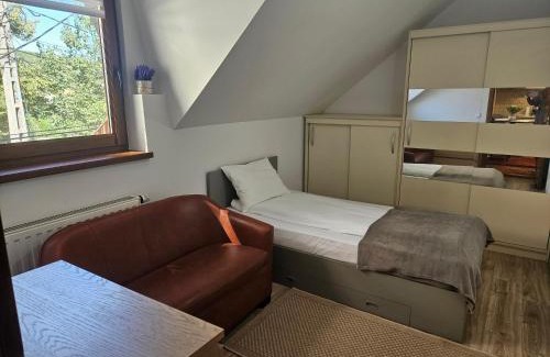 Odorheiu Secuiesc Apartment | Flower Apartment Cintia
