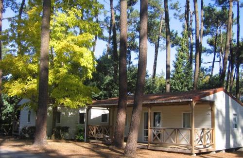 Saint-Hilaire-de-Riez Other | Flower Camping Au Bois des Biches