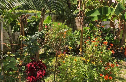 Cahuita Villa | Flower & Leaf Guesthouse Villa - A Beachside Hideaway