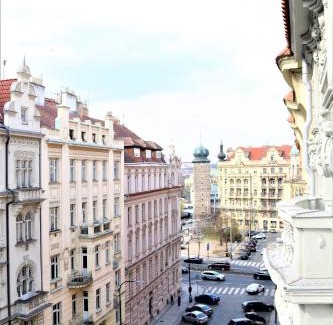 Nove Mesto Apartment | Flowers apartments