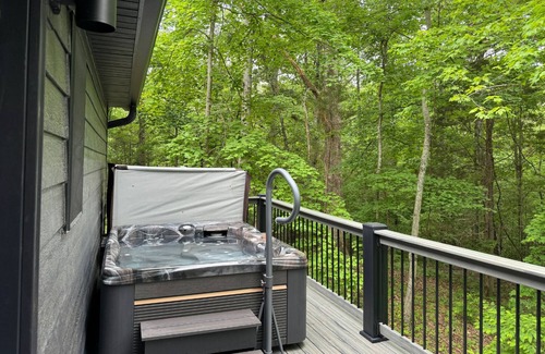 Carbondale Cabin | Forest Cabin Retreat with Hot Tub