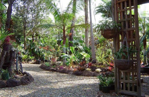 Captain Creek Apartment | Forest Lodge: Bali Style Retreat