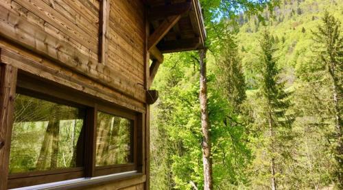 Montriond Ski Chalet | Forest Lodge - Modern Luxury Nestled in the Pines