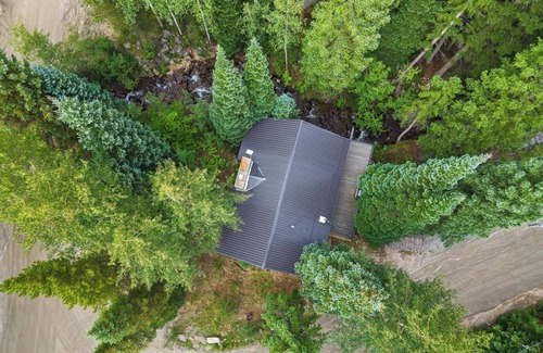 Downieville-Lawson-Dumont Cabin | Forest-Nestled Creekfront Cabin, Fireplace & Sauna