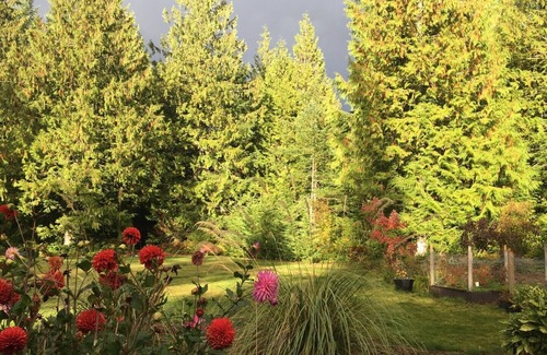 Regional District of Nanaimo House | Forest Retreat in your home away from home!